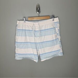 George Striped Blue and White Men's Shorts